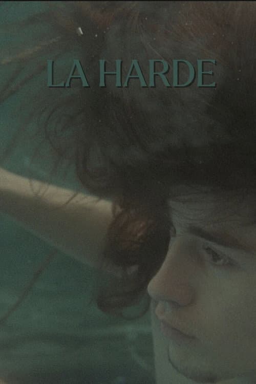 Poster for The Herd