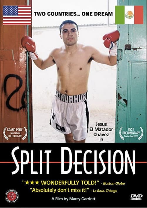 Poster for Split Decision