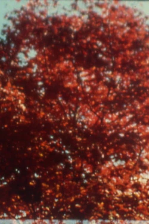Poster for Burning