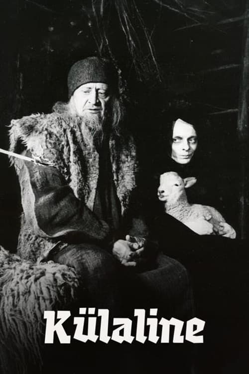 Poster for The Visitor