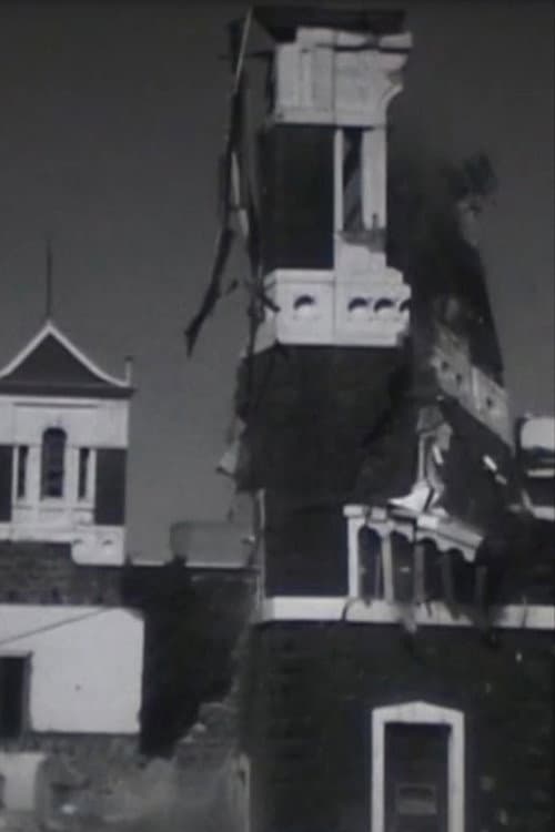 Poster for The Destruction of St. Patrick's College 1971