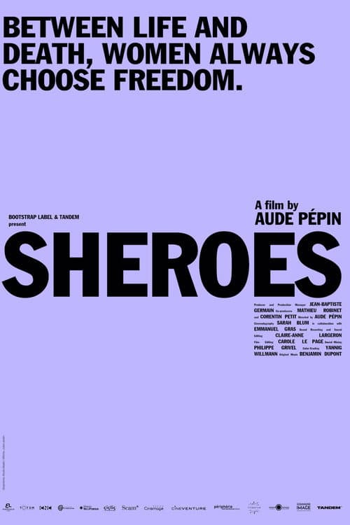 Poster for Sheroes