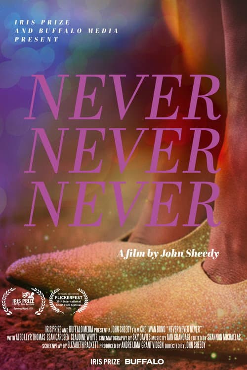 Poster for Never Never Never