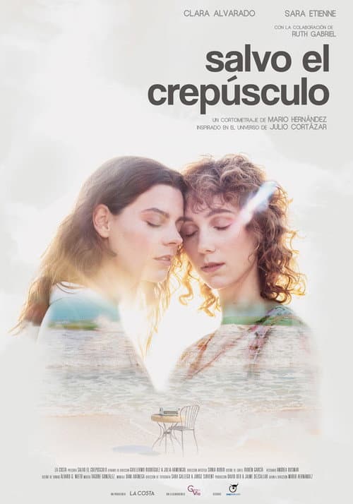 Poster for Save Twilight