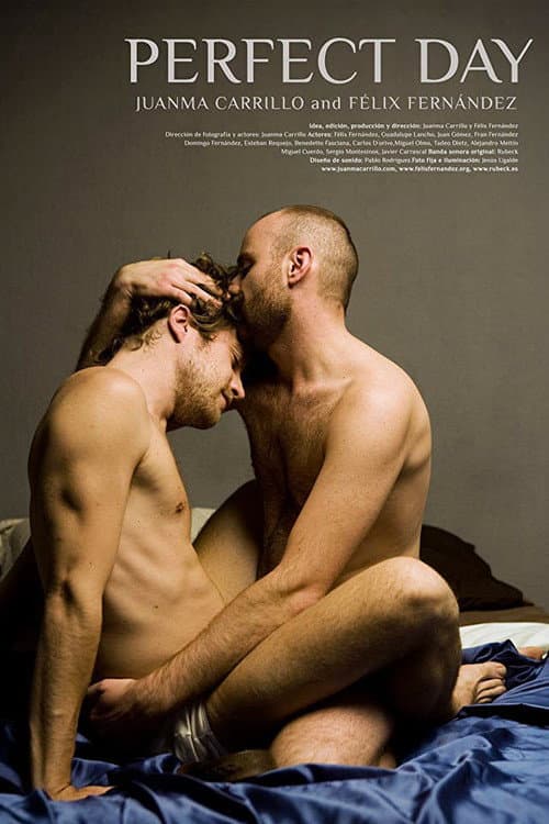 Poster for Perfect Day