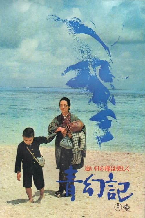 Poster for Time Within Memory