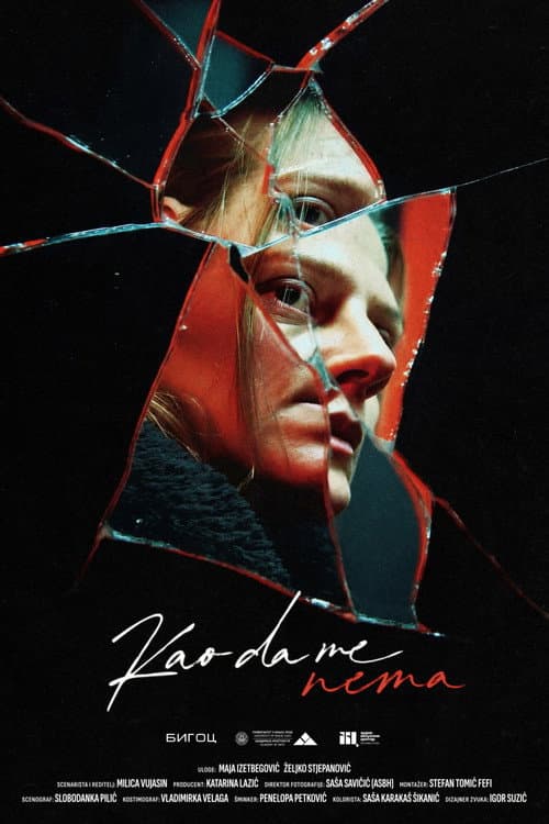Poster for As If I'm Not There