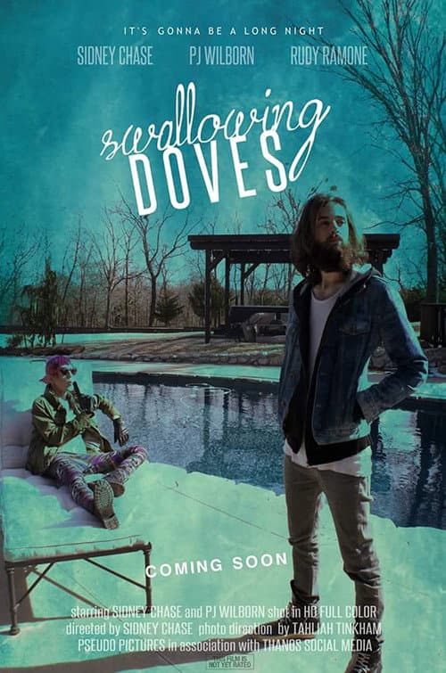 Poster for Swallowing Doves