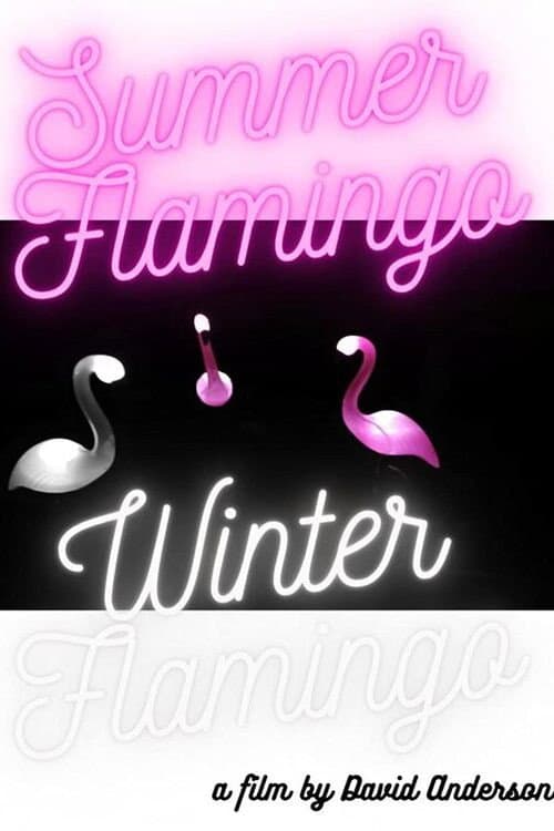 Poster for Summer Flamingo Winter Flamingo