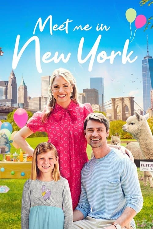 Poster for Meet Me in New York