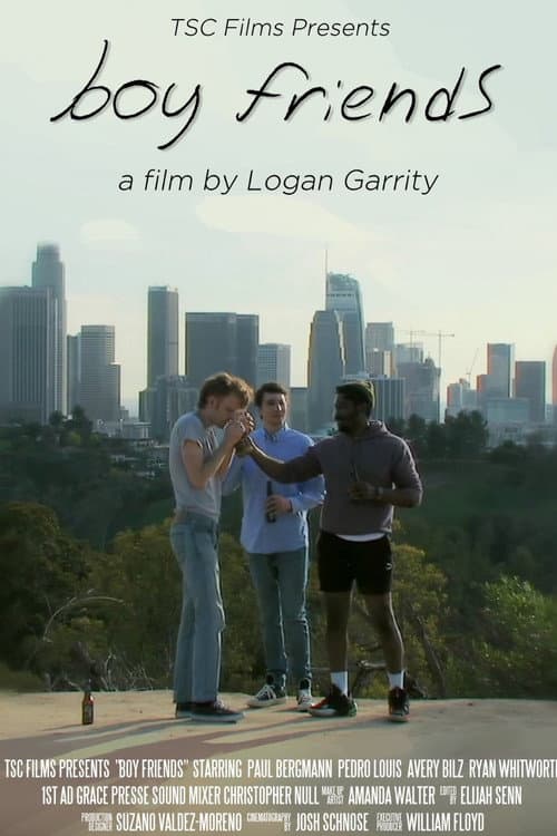 Poster for Boy Friends