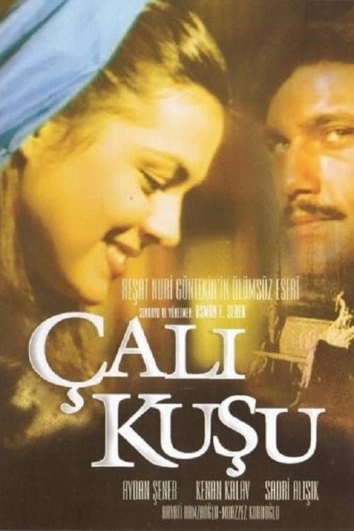 Poster for Çalıkuşu