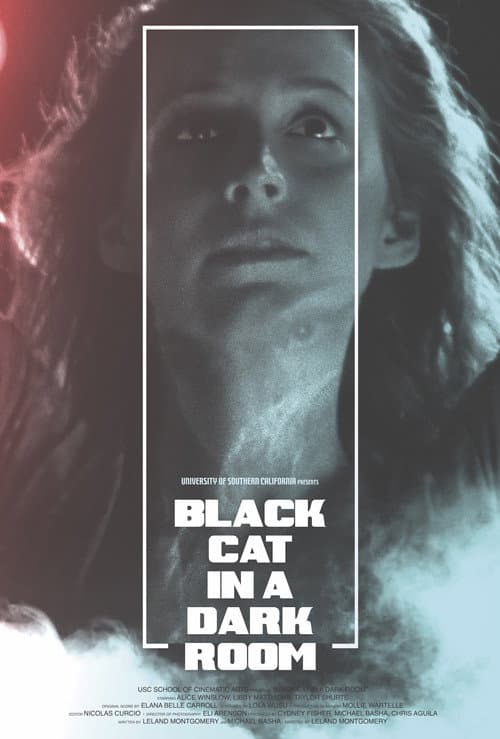 Постер до фільму «Black Cat in a Dark Room»