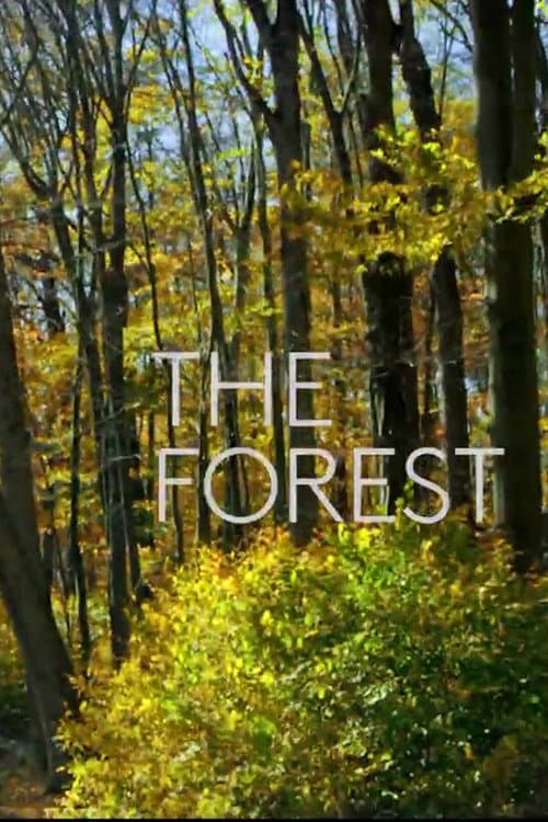 Poster for The Forest