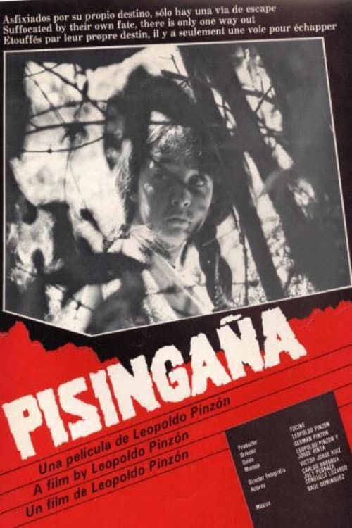 Poster for Pisingaña