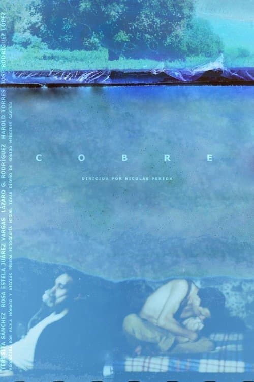 Poster for Copper