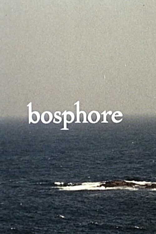 Poster for Bosphore
