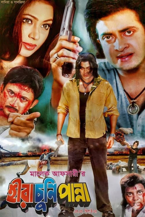 Poster for Hira Chuni Panna