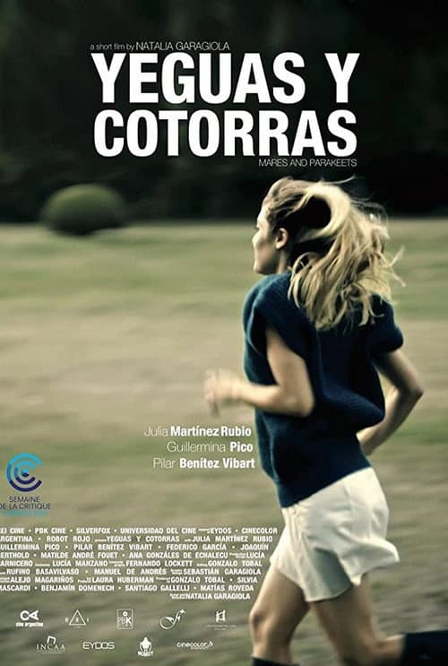 Poster for Yeguas y cotorras