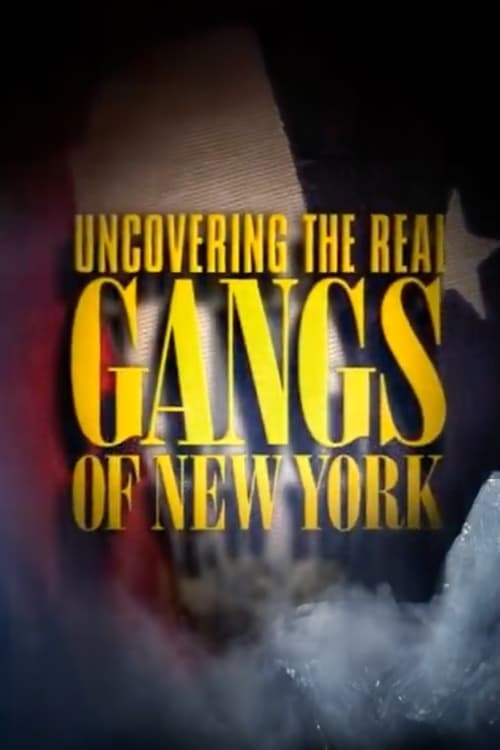 Poster for Uncovering the Real Gangs of New York