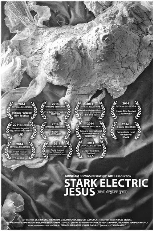 Poster for Stark Electric Jesus