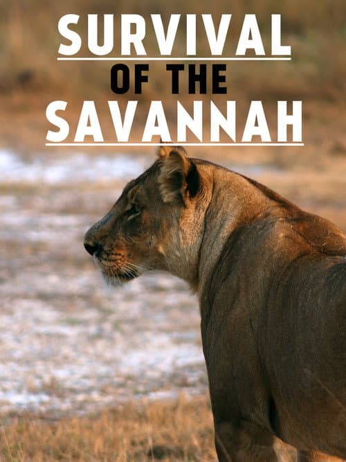 Poster for Survival on the Savannah
