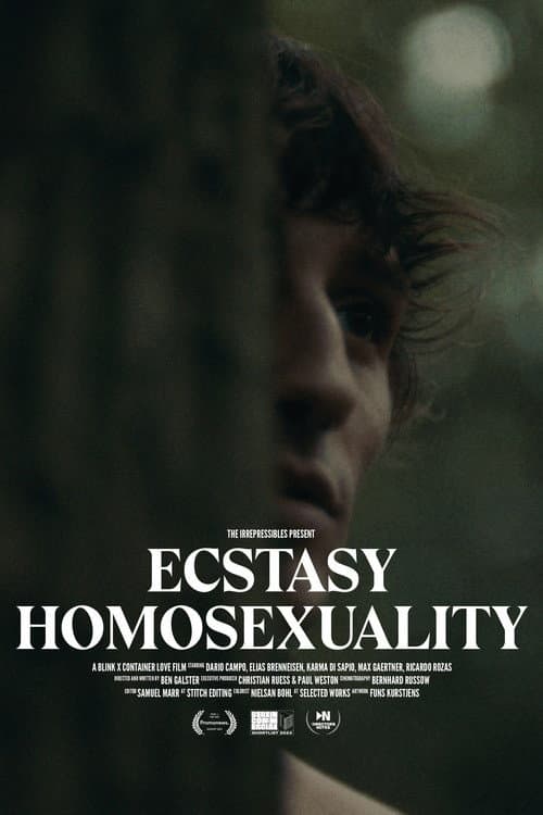 Poster for Ecstasy Homosexuality