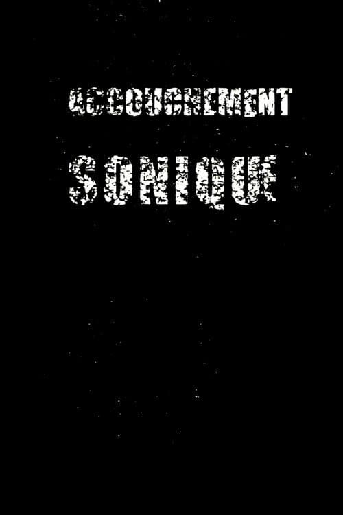 Poster for Sonic Birth