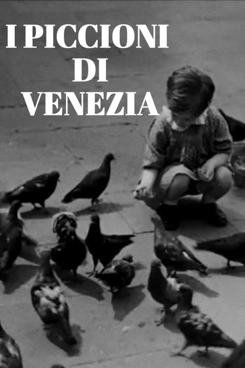 Poster for I piccioni di Venezia