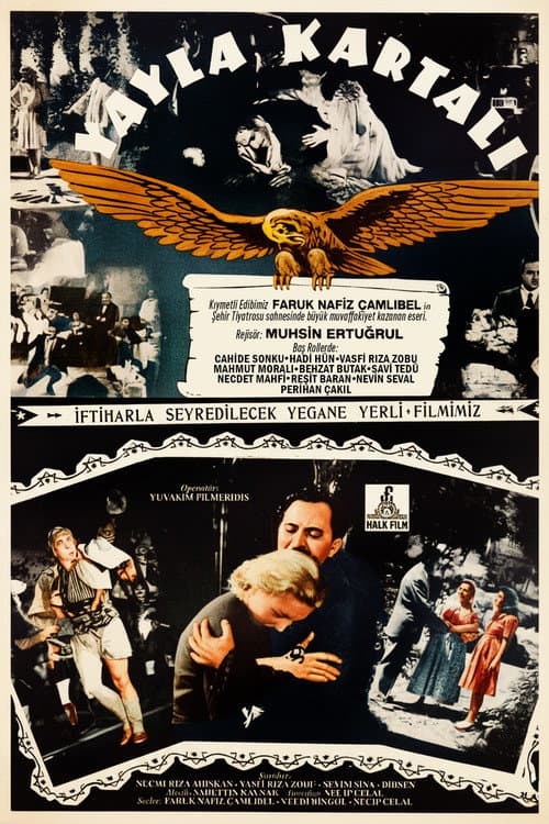 Poster for Yayla Kartalı