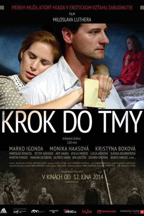Poster for A Step Into the Dark