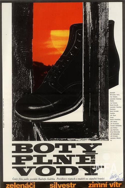 Poster for Boty plné vody