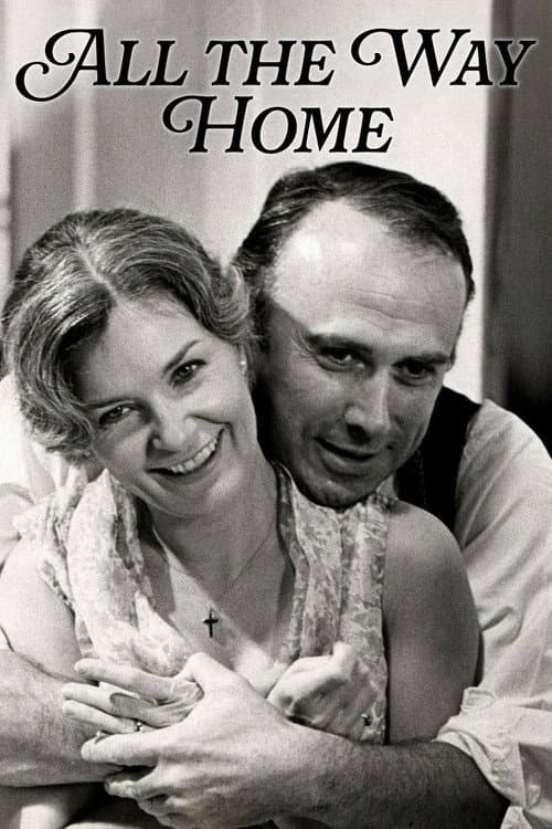 Poster for All the Way Home