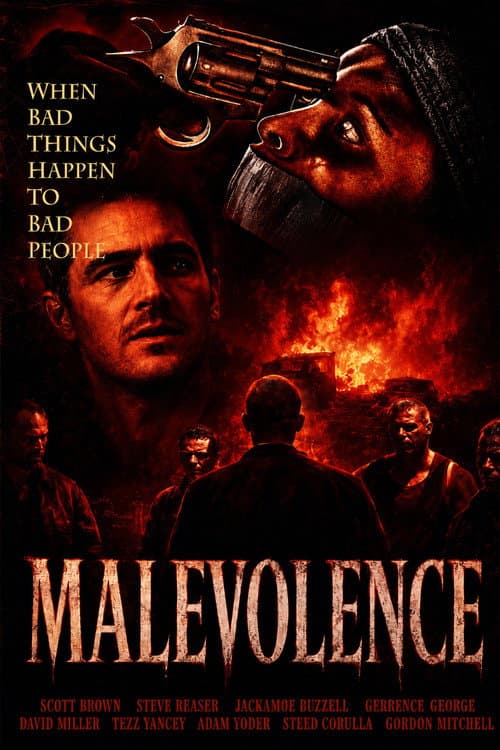 Poster for Malevolence