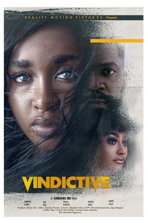 Poster for Vindictive