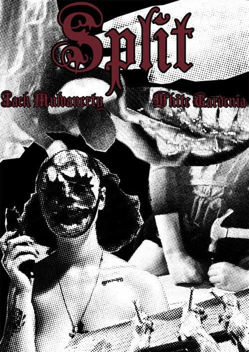 Poster for Split