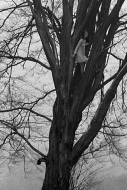 Poster for Foundling-Bird