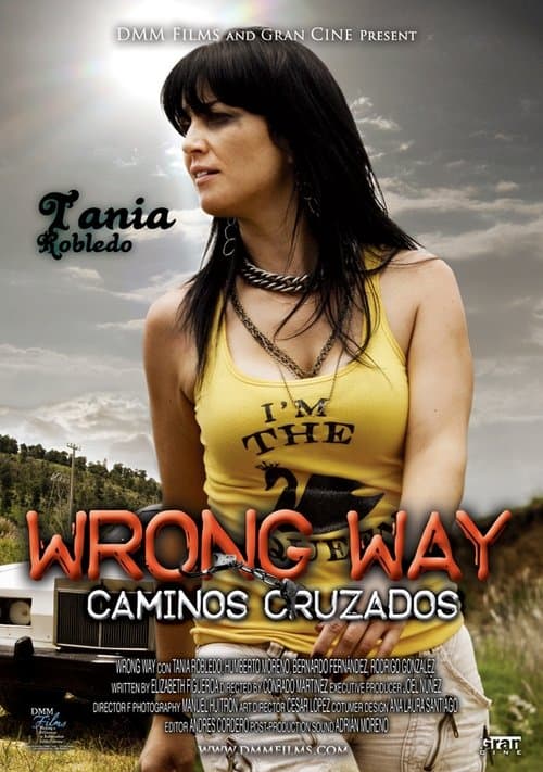 Poster for Caminos Cruzados