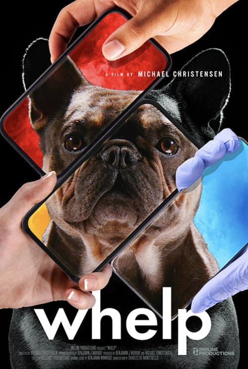 Poster for Whelp