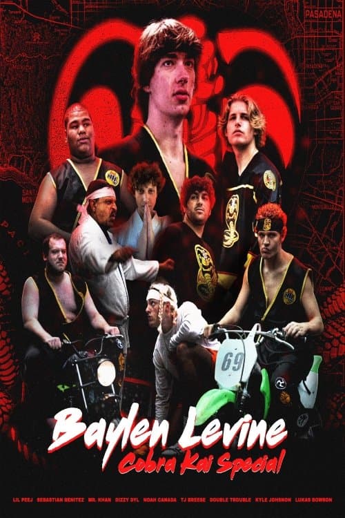 Poster for The Cobra Kai Movie
