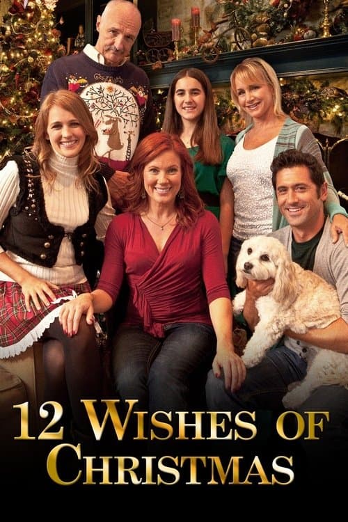 Poster for 12 Wishes of Christmas