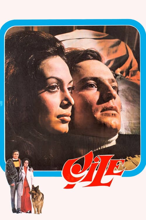 Poster for Çile