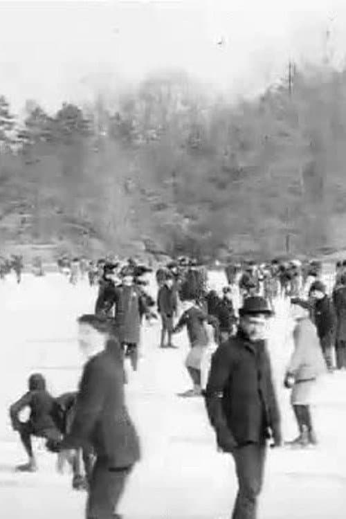 Poster for Skating in Central Park