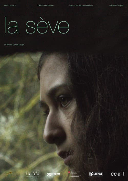 Poster for The Sap