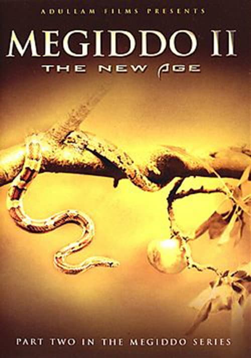 Poster for Megiddo 2: The New Age