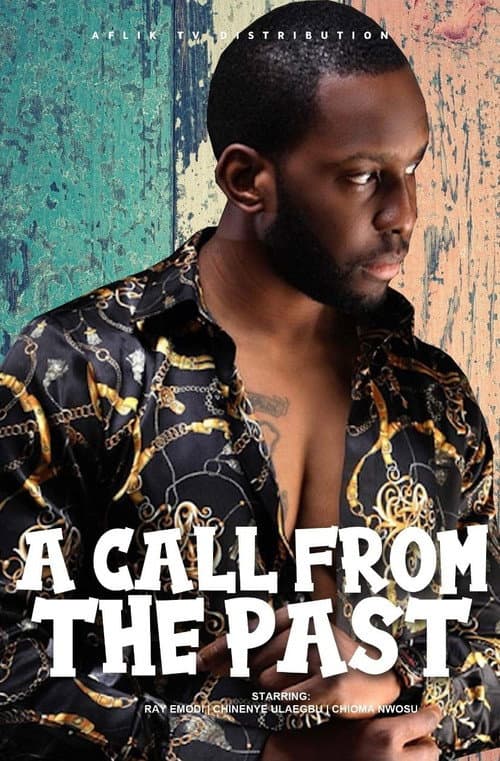 Poster for A Call from the Past