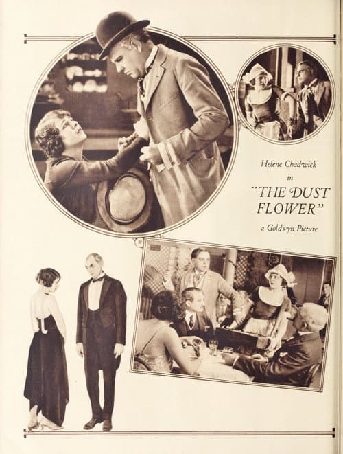 Poster for The Dust Flower