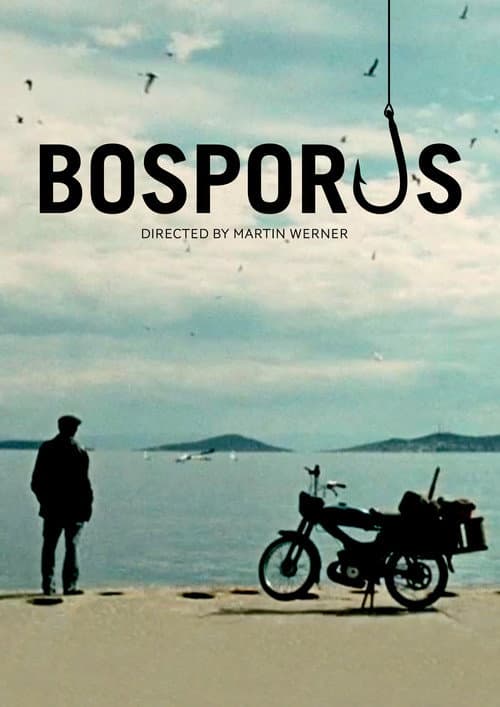 Poster for Bosporus