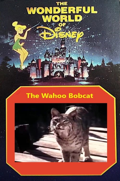 Poster for The Wahoo Bobcat