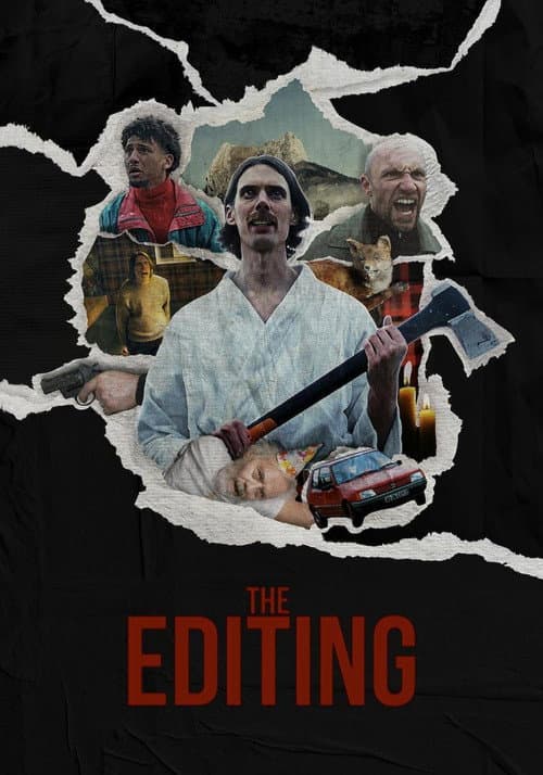Poster for The Editing